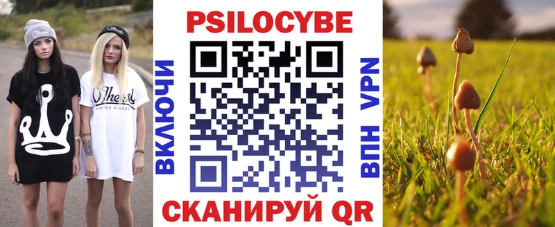 Псилоцибиновые грибы Psilocybe  mega зеркало  Зарайск 